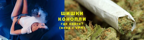 PSILOCYBIN Богородск