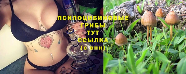 альфа пвп Богданович
