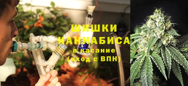 PSILOCYBIN Богородск