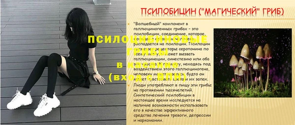 PSILOCYBIN Богородск