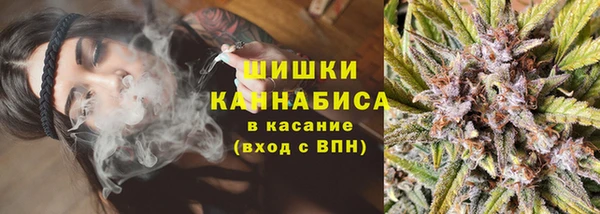 PSILOCYBIN Богородск