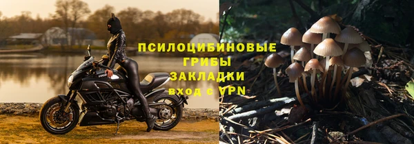 альфа пвп Богданович